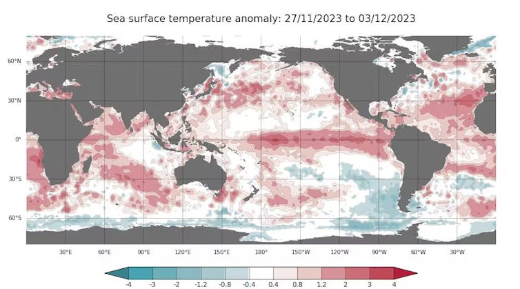 figure showing high sea surface temperatures around most of the world