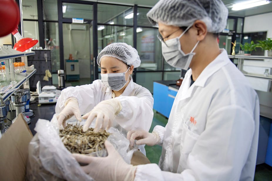 A couple of people examine dried fish in a bag.