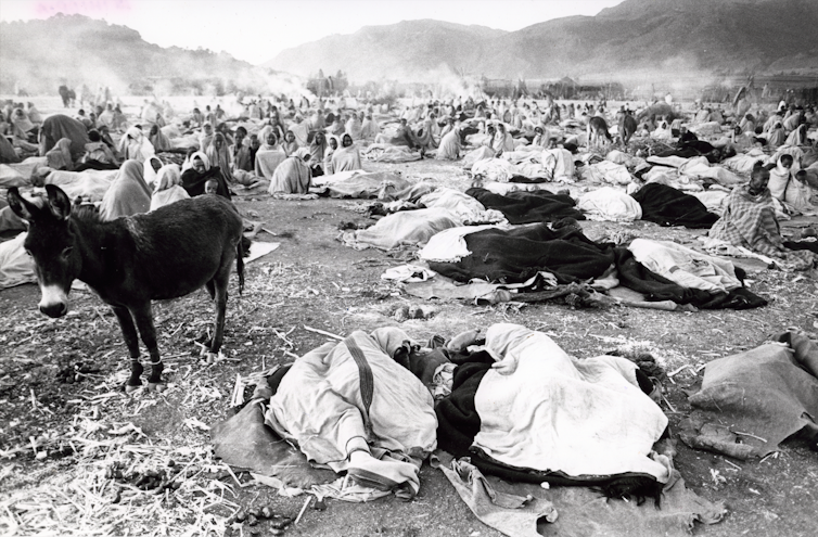 A vast black and white landscape showing an expanse of land covered in people with cloths over themselves, in the foreground a donkey.