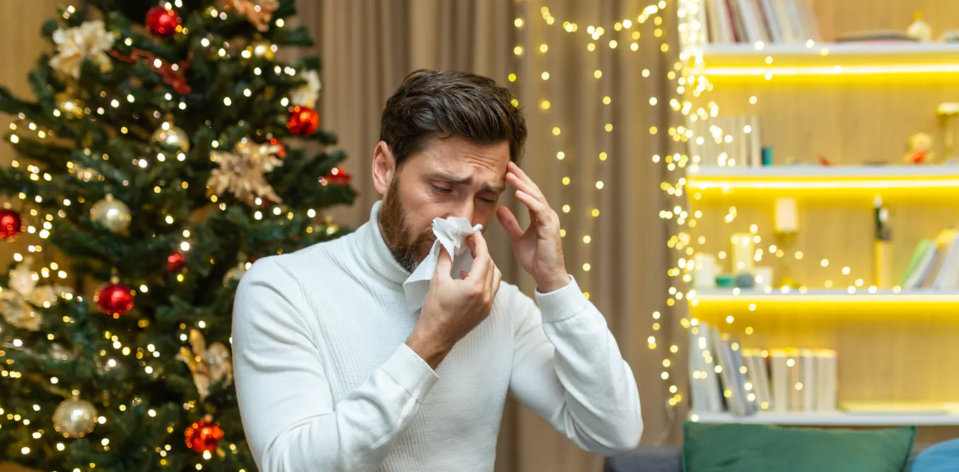 Nowser Rur Christmas tree syndrome: why the festive evergreen can make your nose ...