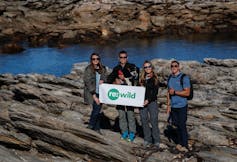 A group of four scientists and a border collie dog standing on some rocks on a beach looking cheerful and holding up a re wild banner