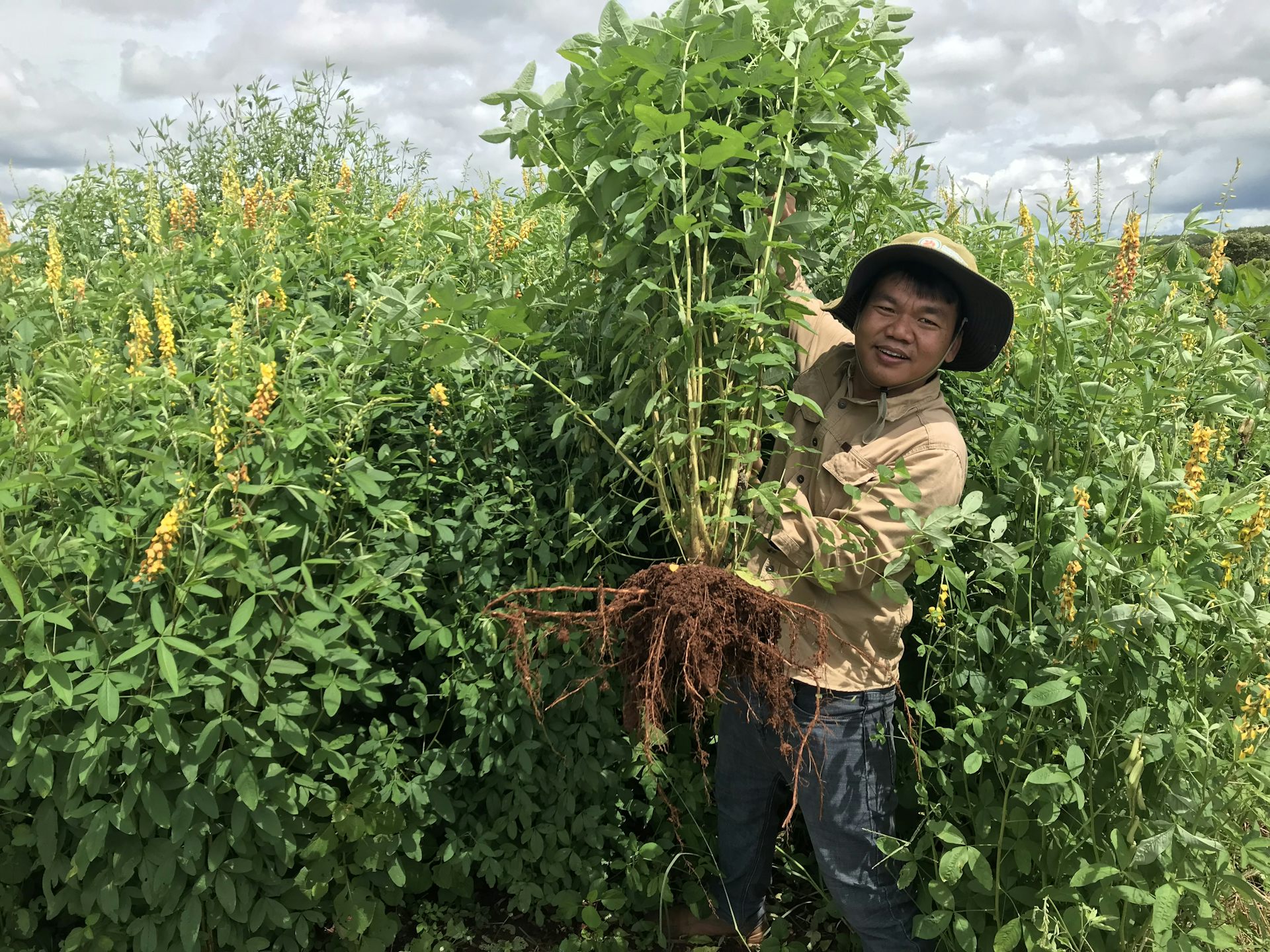 Farmer standing in the fields next to plants.