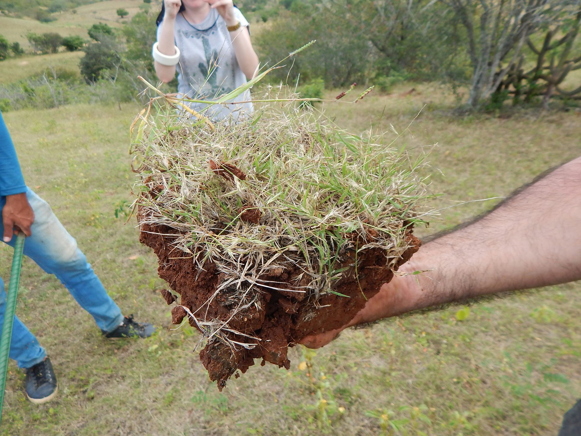 Um punhado de terra arrancada do solo sendo exibido na mão de uma pessoa