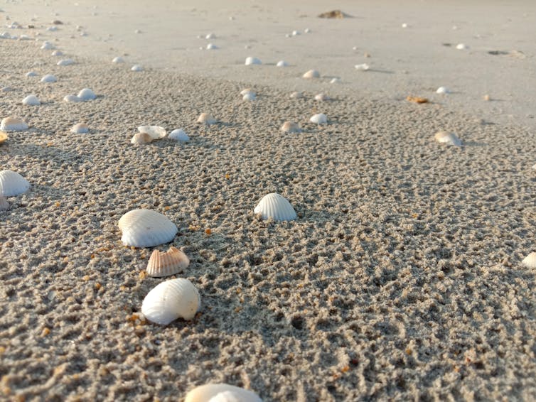 A beach after rain.