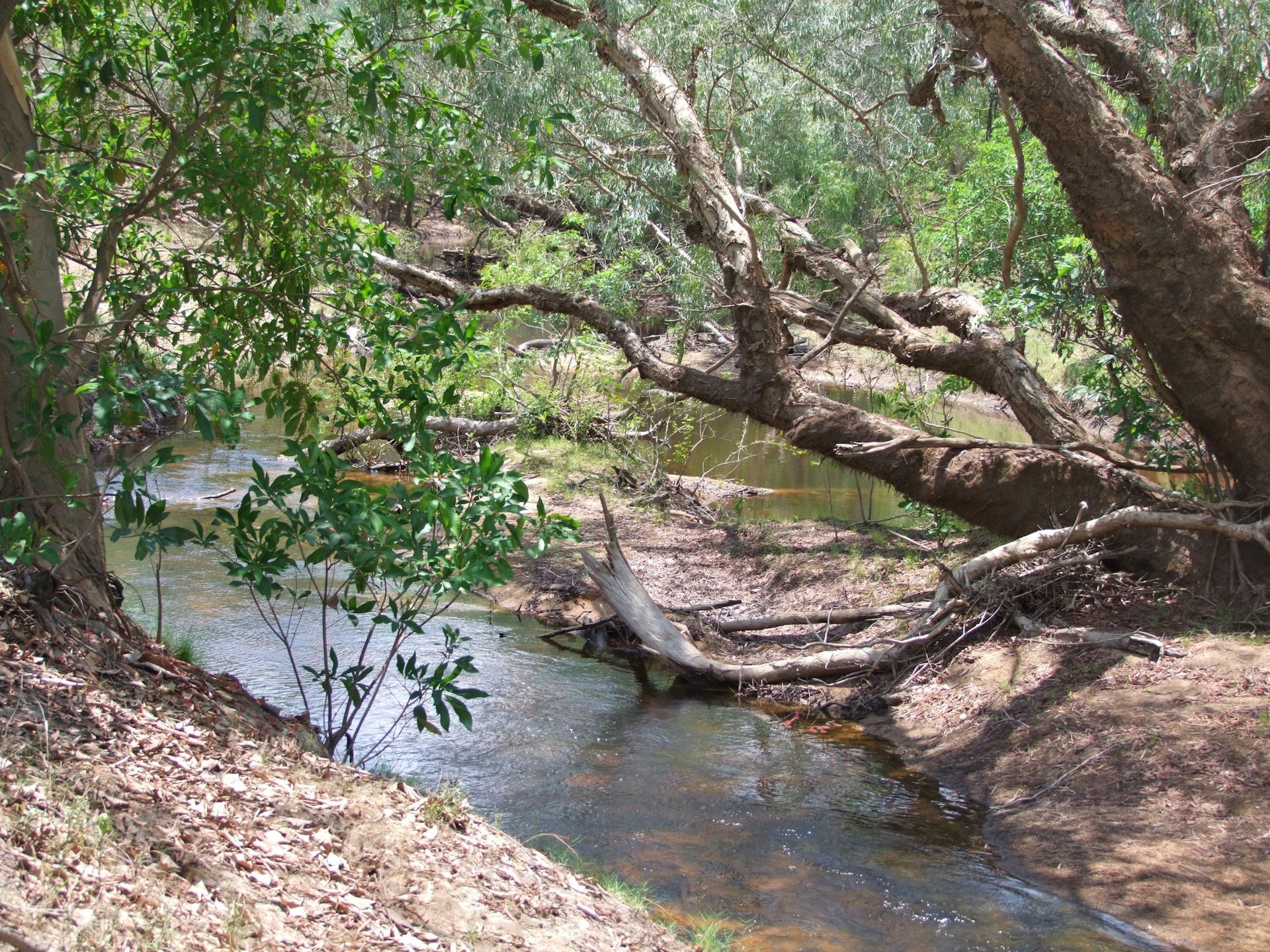 We’ve committed to protect 30% of Australia’s land by 2030. Here’s how ...