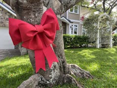A big red bow on a tree in front of a house