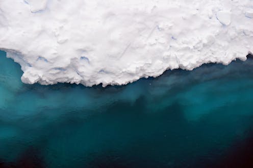 What octopus DNA tells us about Antarctic ice sheet collapse