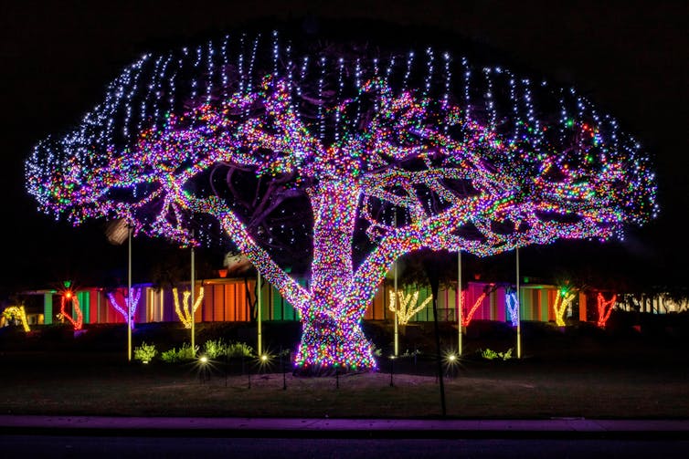 A large tree covered in fairy lights at night