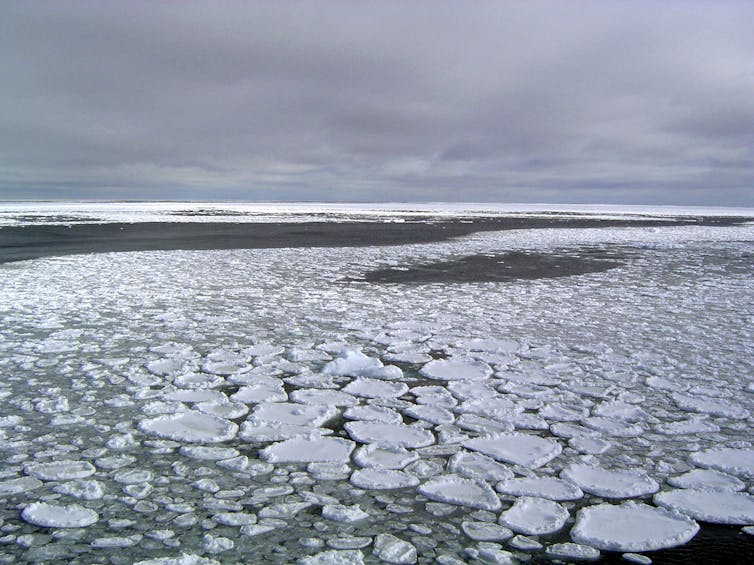 ross sea