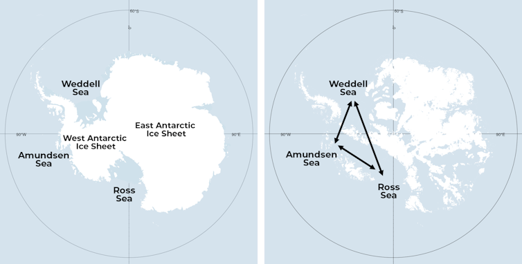 A polar map of Antarctica showing a modern Antarctic Ice Sheet on the left and on the right a visualisation of Antarctica with areas only above present day sea level.