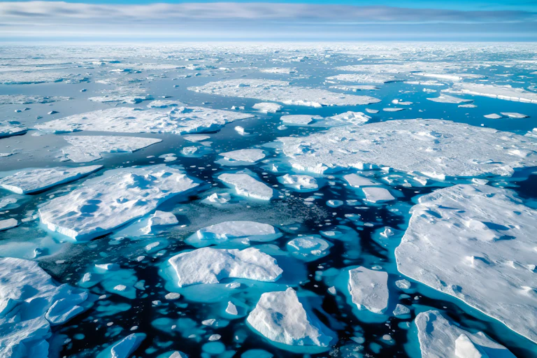 melting sea ice