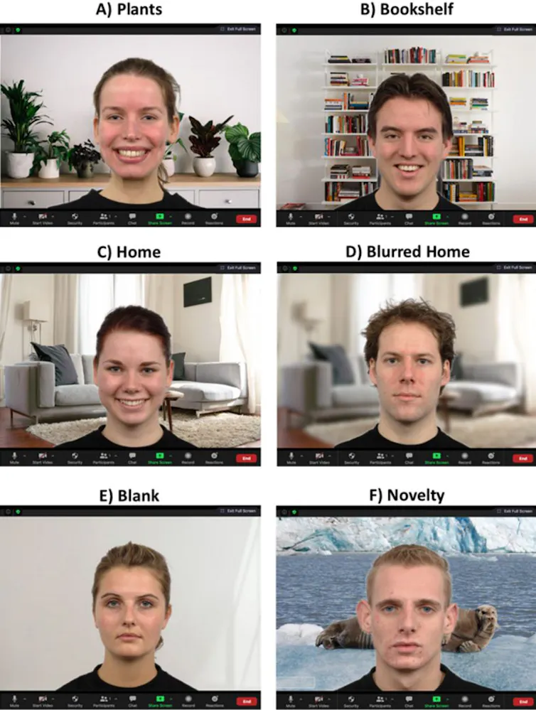 A grid of six caucasian faces on Zoom, both men and women, with varying backgrounds including a blank wall, plants, a bookshelf, a living room and a nature image of a walrus on an iceberg