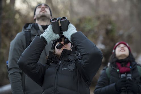 Why dozens of North American bird species are getting new names: Every name tells a story