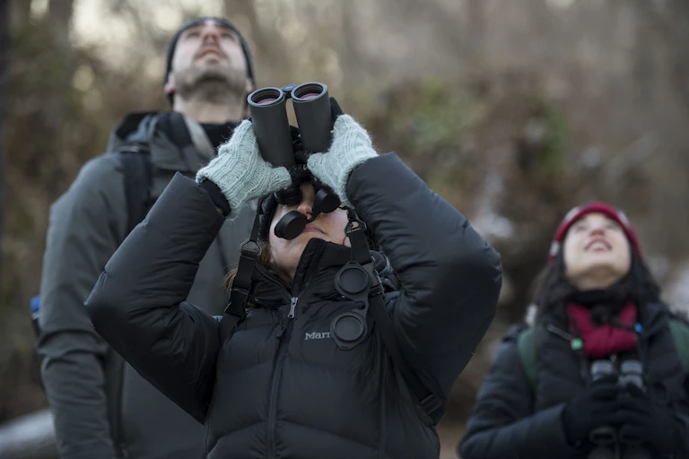 Three people, one using binoculars, look up at the sky
