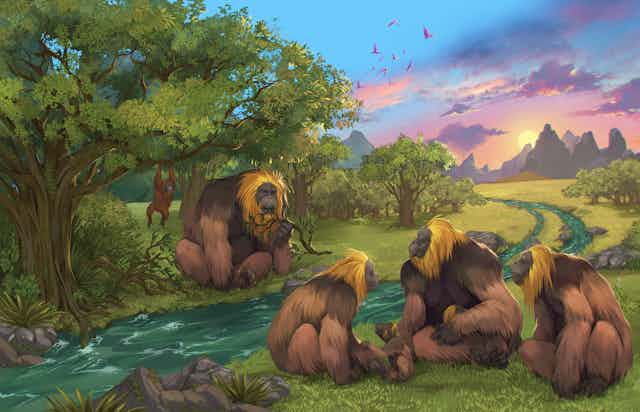 Illustration showing a group of large primates sitting by a stream among trees.