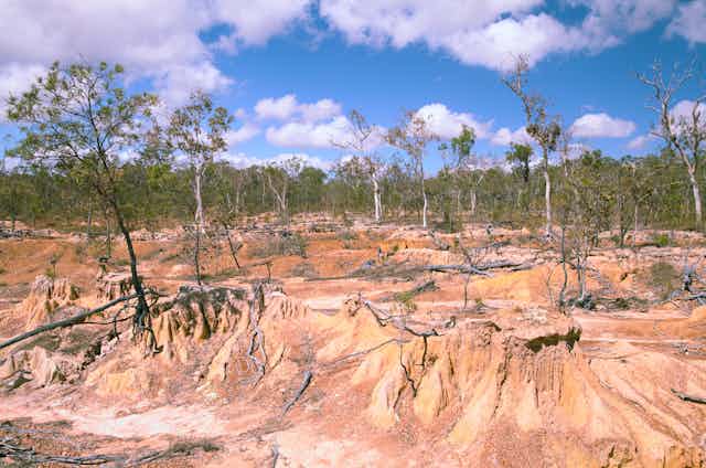degraded landscape - erosion, a few trees
