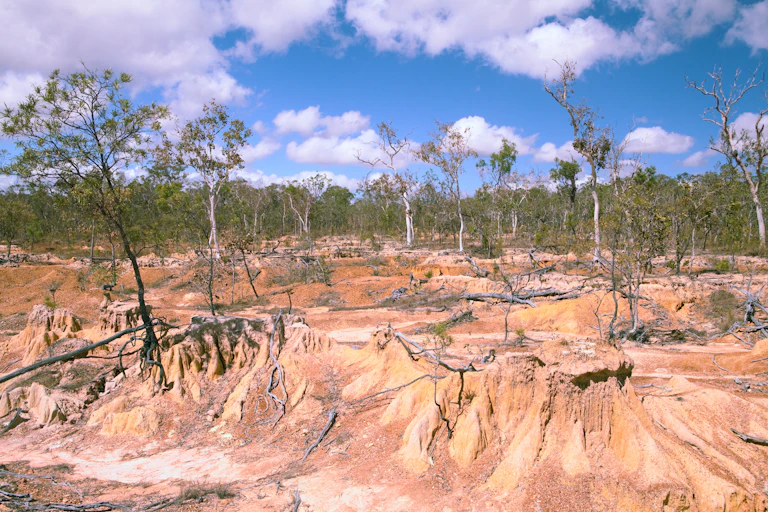 degraded landscape - erosion, a few trees