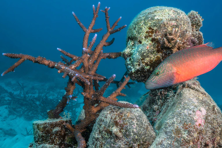 A fish and a sculpture