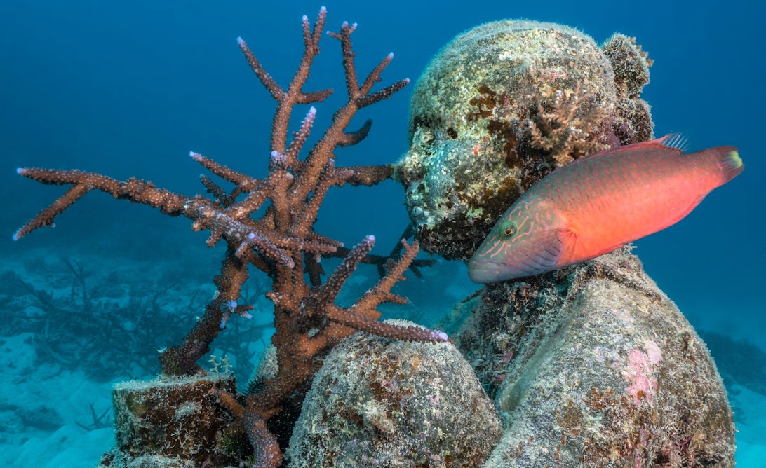 theconversation.com - Adam Smith - How an underwater sculpture trail plays a role in the health - and beauty - of the Great Barrier Reef