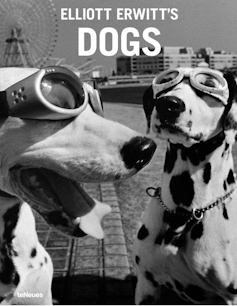 黑白書籍封面顯示兩隻戴著護目鏡的斑點狗。