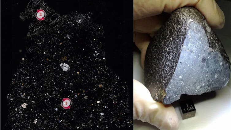 A carbonaceous chondrite meteorite under the microscope and hand specimen.