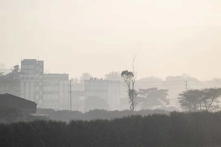 Vue de la ligne d'horizon de la ville indistincte à travers une brume grisâtre.