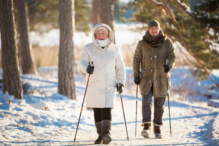 Un couple âgé marche dans la nature, en hiver.