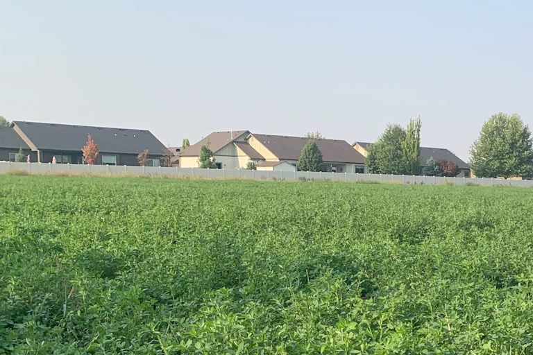 Uma rua com dezenas de casas residenciais dá de costas para um campo agrícola, com apenas uma cerca entre elas.