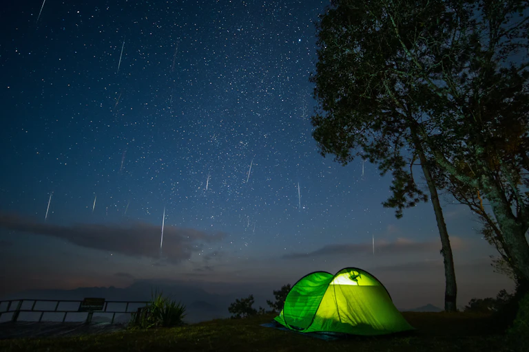 Tent next to tree with meteors in the sky