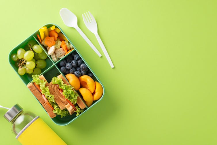 An open lunchbox with a sandwich, fruit and vegetables.