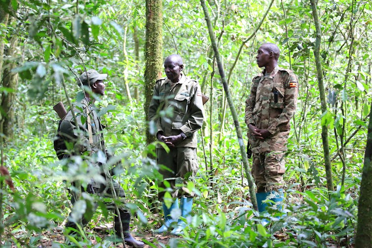 Three rangers in military-style uniforms standing in a tropical forest thicket.