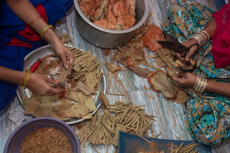 Two women making bidi cigarettes out of tendu leaves.