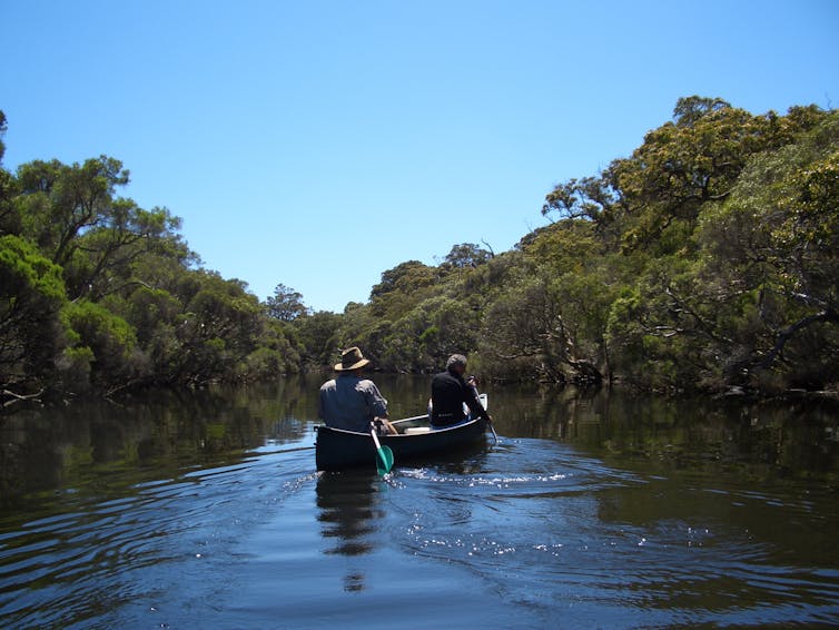 Two people canoe down a tree-lined river