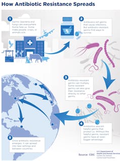 Infographic of resistant bacteria spreading around the globe