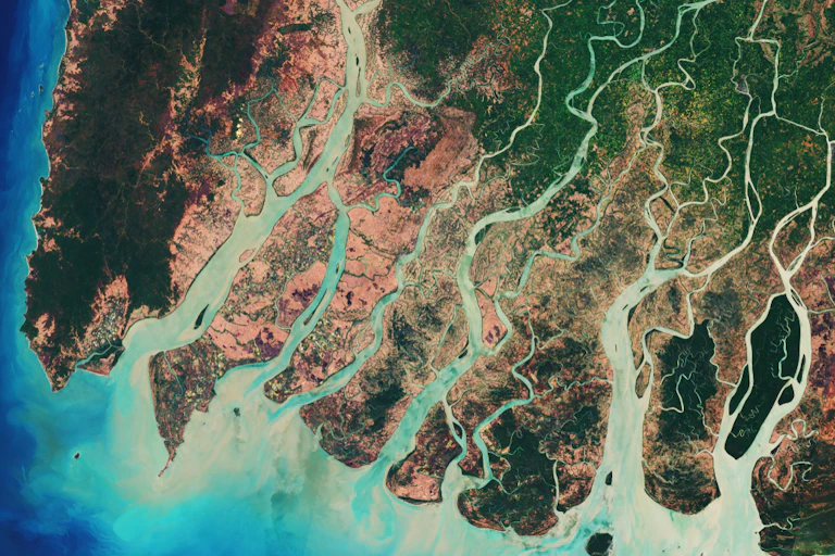 A satellite image of the Irrawaddy delta in Myanmar.