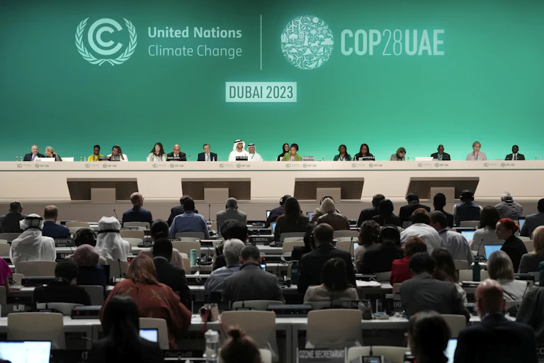A panel of people sit facing a large audience against a green backdrop.