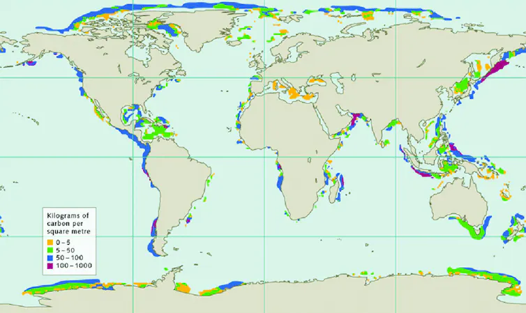 World map with shaded areas near the coasts