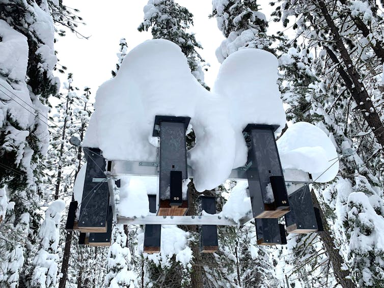 A ring of tall, rectangular metal bird feeders mounded high with snow on top.
