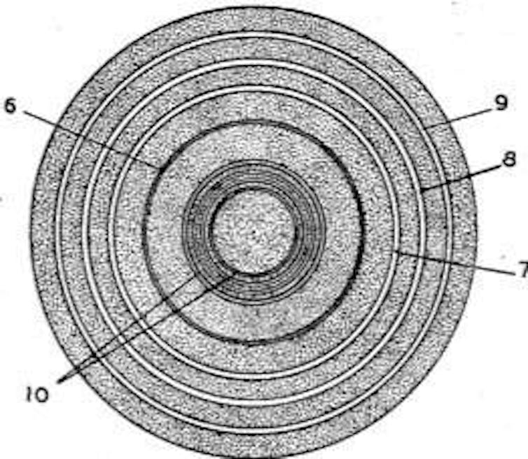 A bullseye symbol consisting of rings of concentric circles
