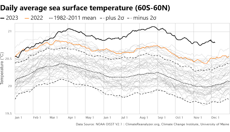 Line chart shows daily ocean temperature records for every year since 1981, 2023 was far beyond any other year starting in mid-May.