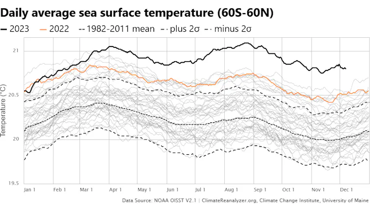 Line chart shows daily ocean temperature records for every year since 1981, 2023 was far beyond any other year starting in mid-May.