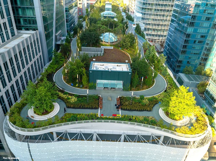 The rooftop of a building looks like a park, with walking paths, trees and other plants.