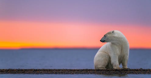 'Cli-fi' might not save the world, but writing it could help with your eco-anxiety
