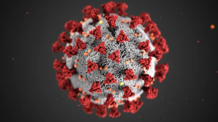 CDC illustration of COVID-19 virus