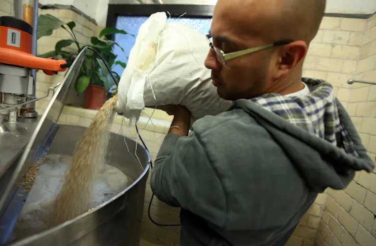 man pours malted barley from a sack into a mash tun