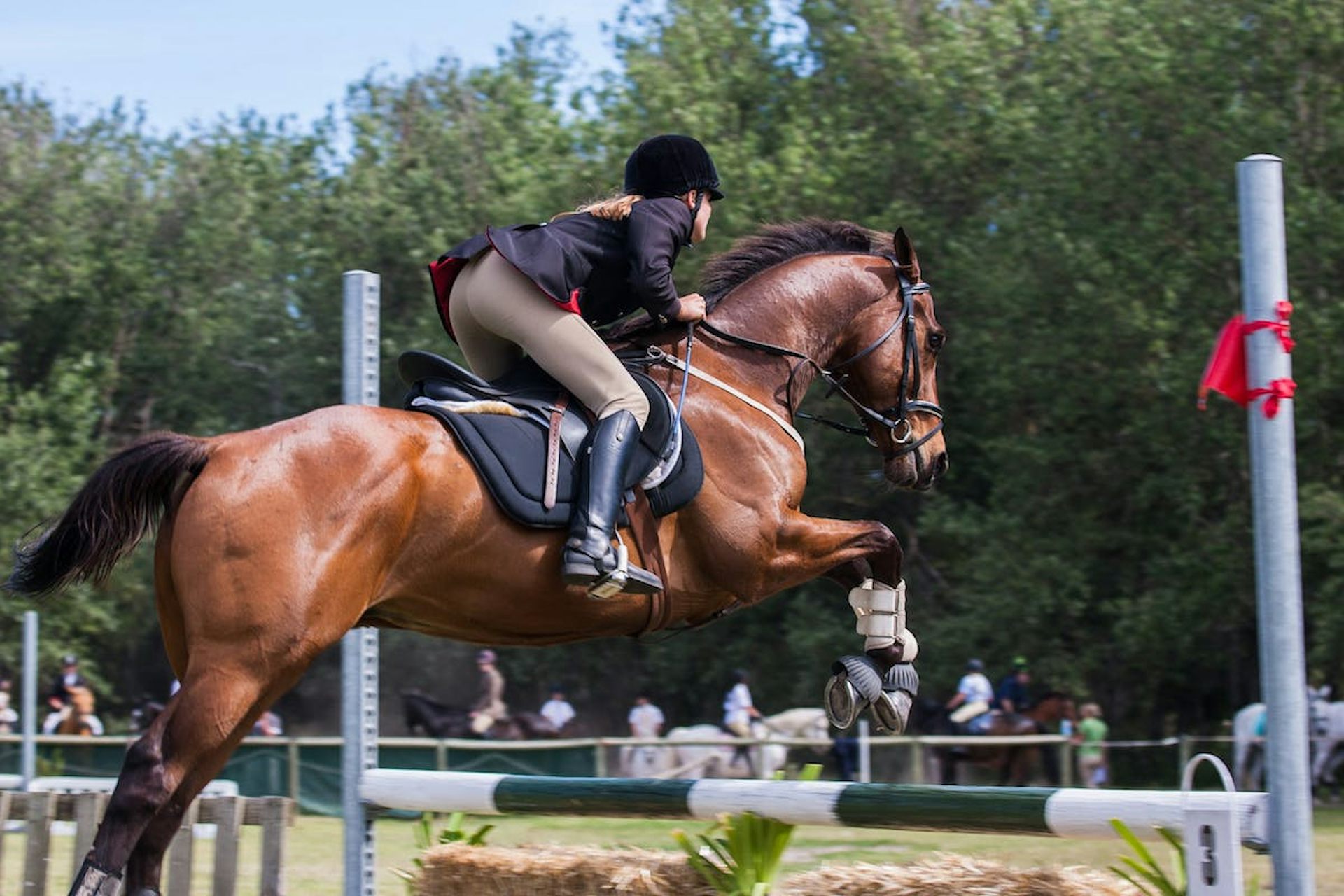 Jeune fille sautant un obstacle à cheval pendant une compétition