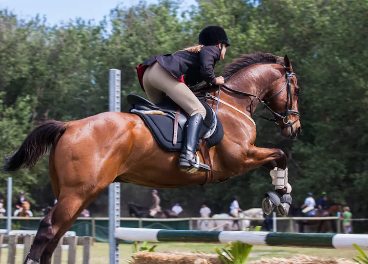 Jeune fille sautant un obstacle à cheval pendant une compétition