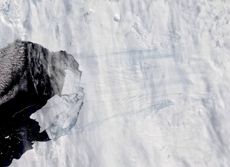 A satellite image of Pine Island Glacier spawning new icebergs.