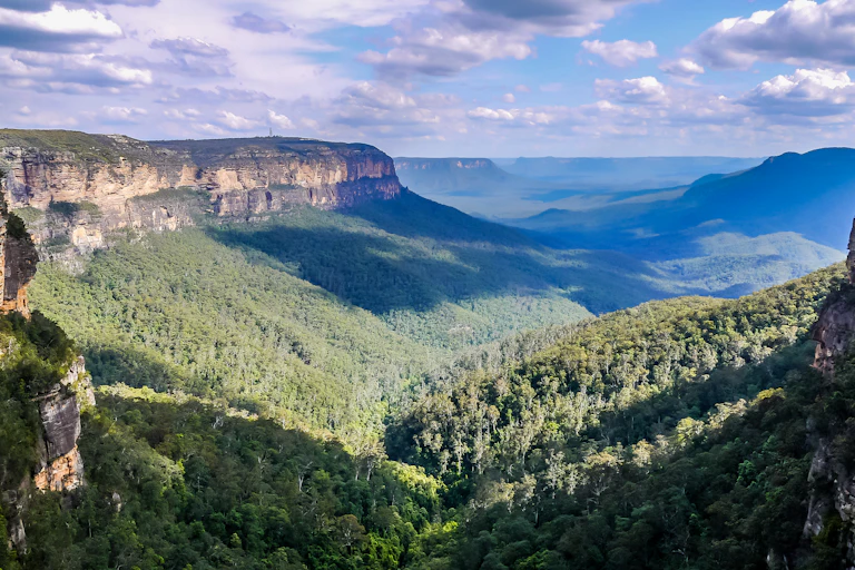 A vista of a green eucalypt valley with a blue mist above it