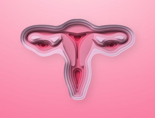 What happens to your vagina as you age?